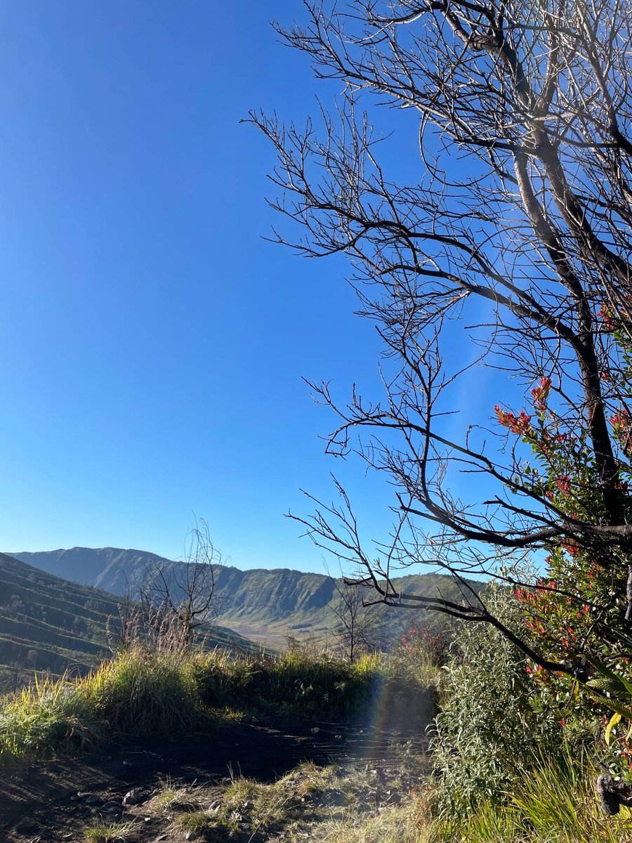 Dani El mangap😹😹 tweet media