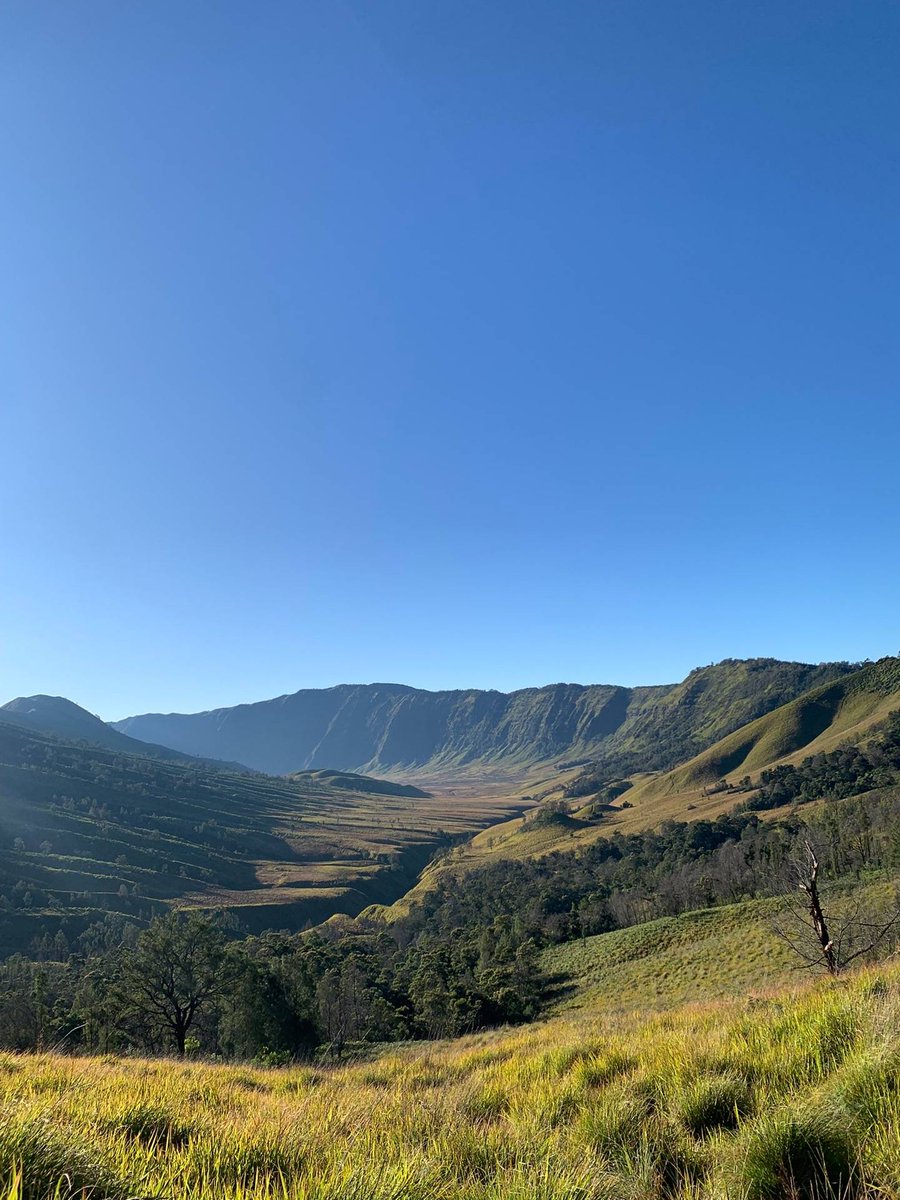 Dani El mangap😹😹 tweet media