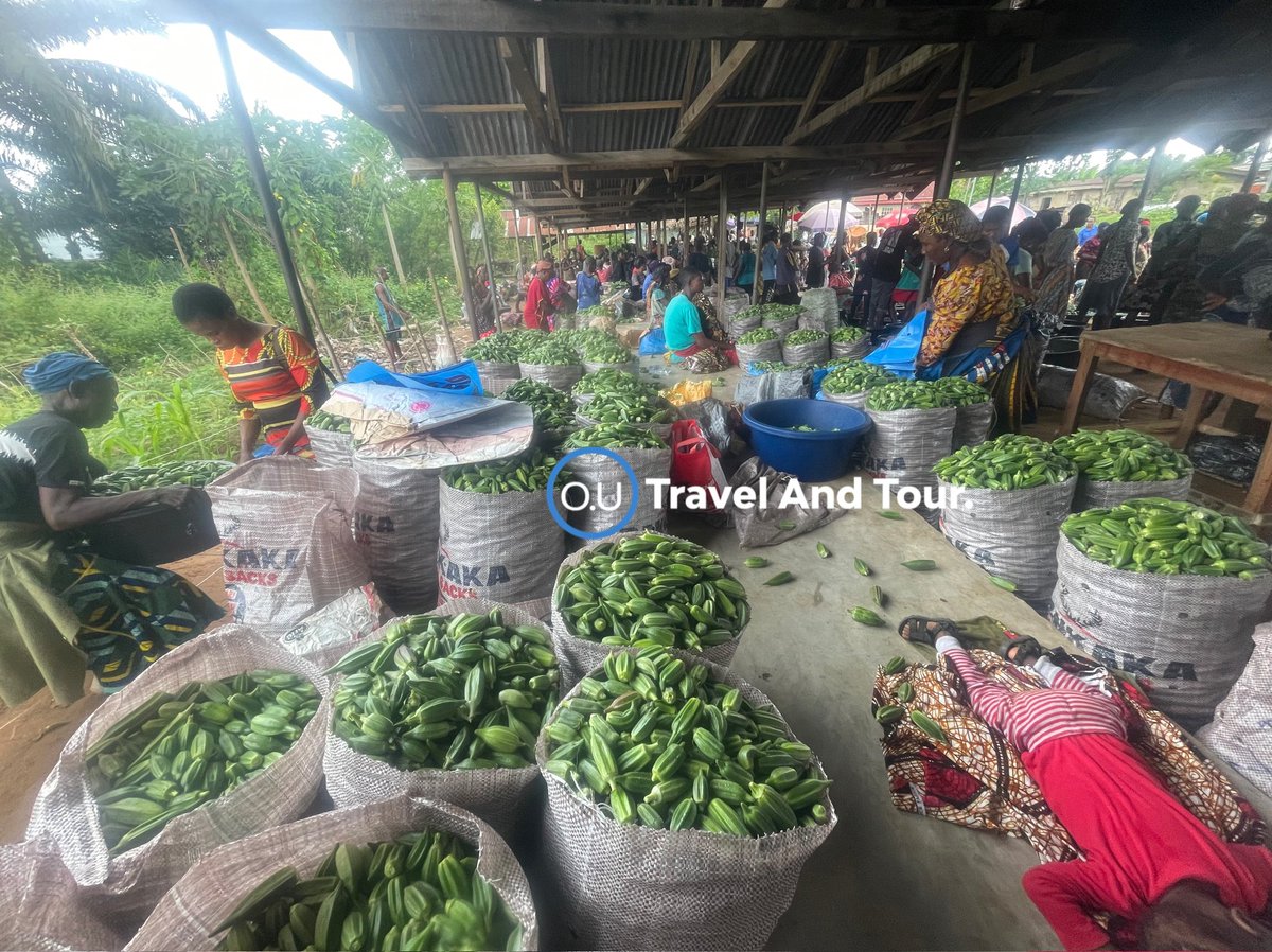 Ohamadike tweet media