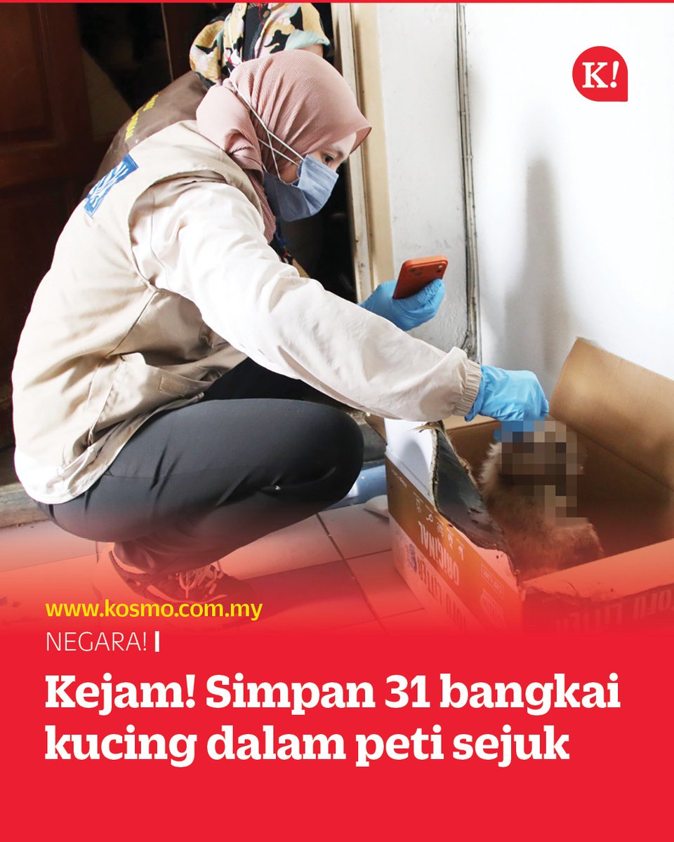 Kosmo! Online tweet media