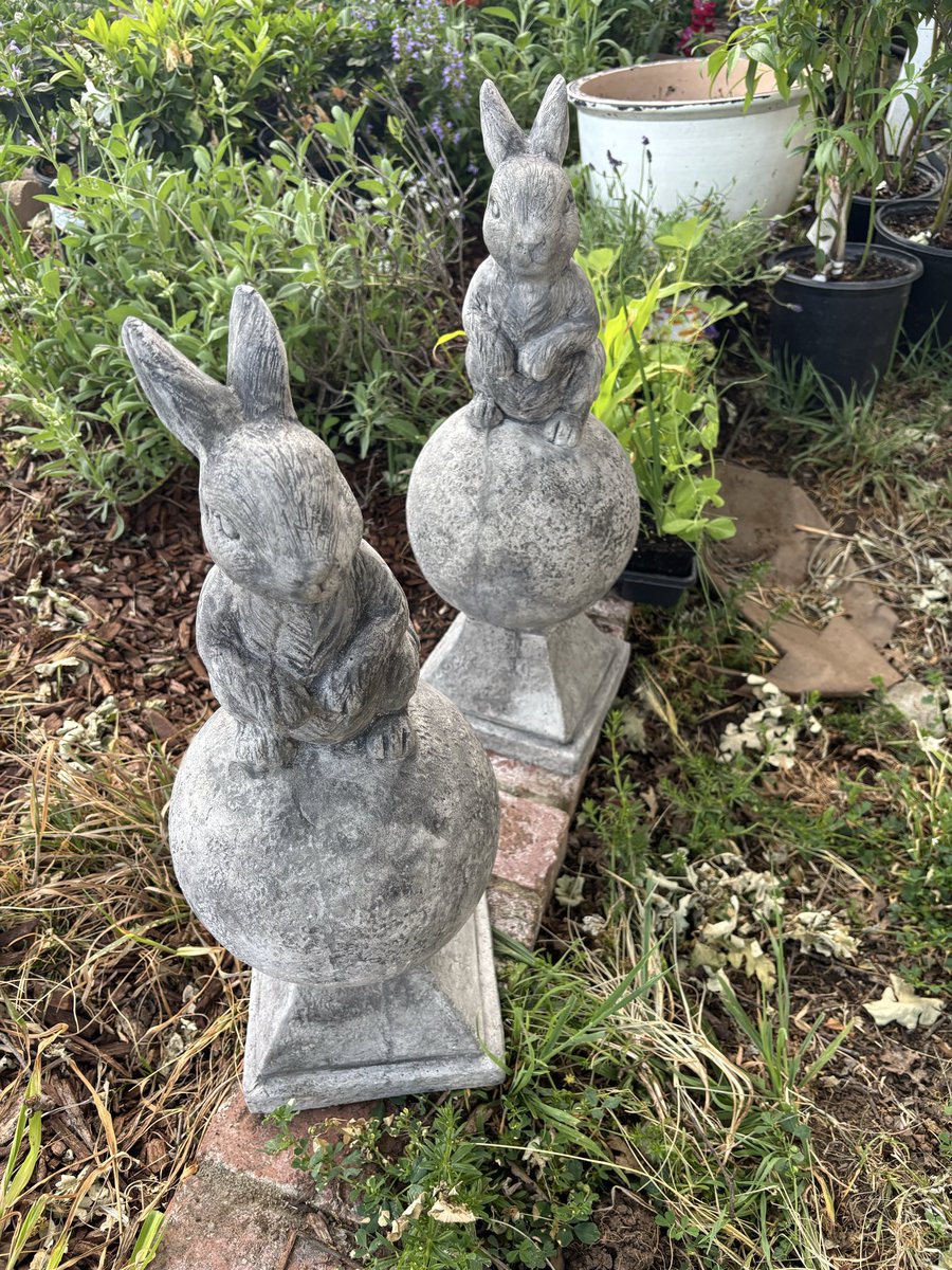 Aurora 🇺🇲 tweet media