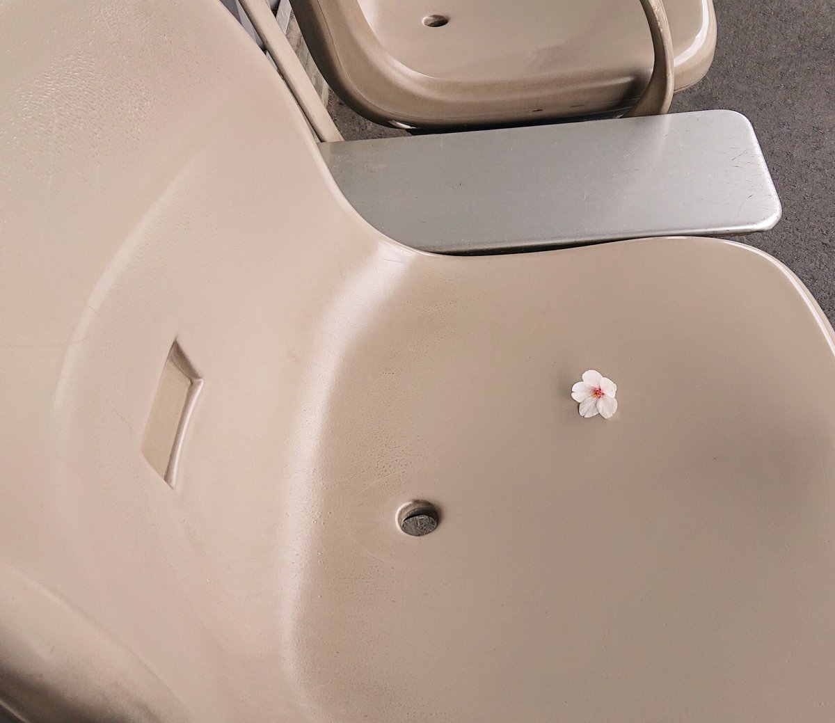 千葉聡　1月刊行『百人一首バトル』（栗木京子・穂村弘・佐藤弓生・千葉聡・石川美南編、書肆侃侃房） tweet media