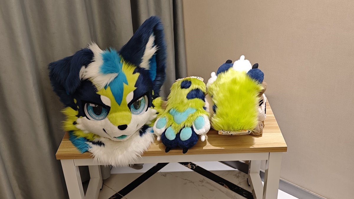 猫灵Catzero tweet media