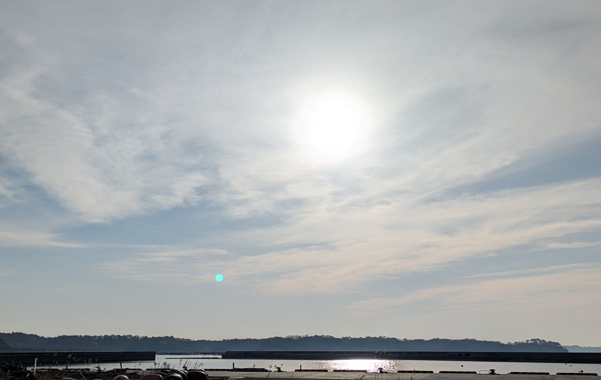 son of a gun@R tweet media