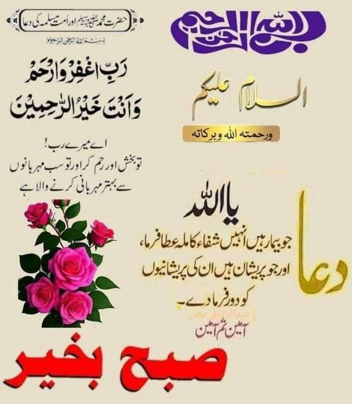 امان اللہAman ullah tweet media