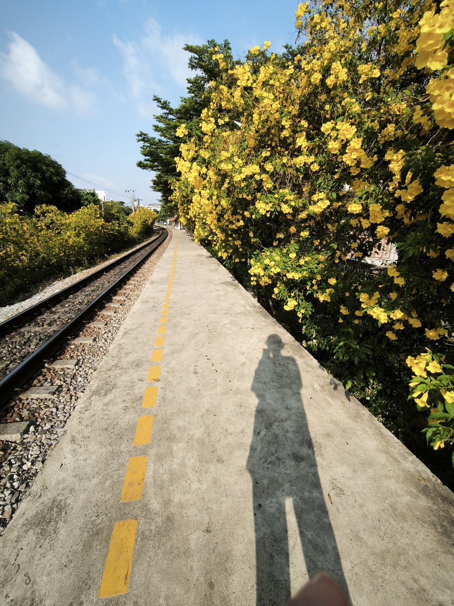 numpslife's tweet photo. ☀️☀️☀️ https://t.co/kj5OtX8CZ6