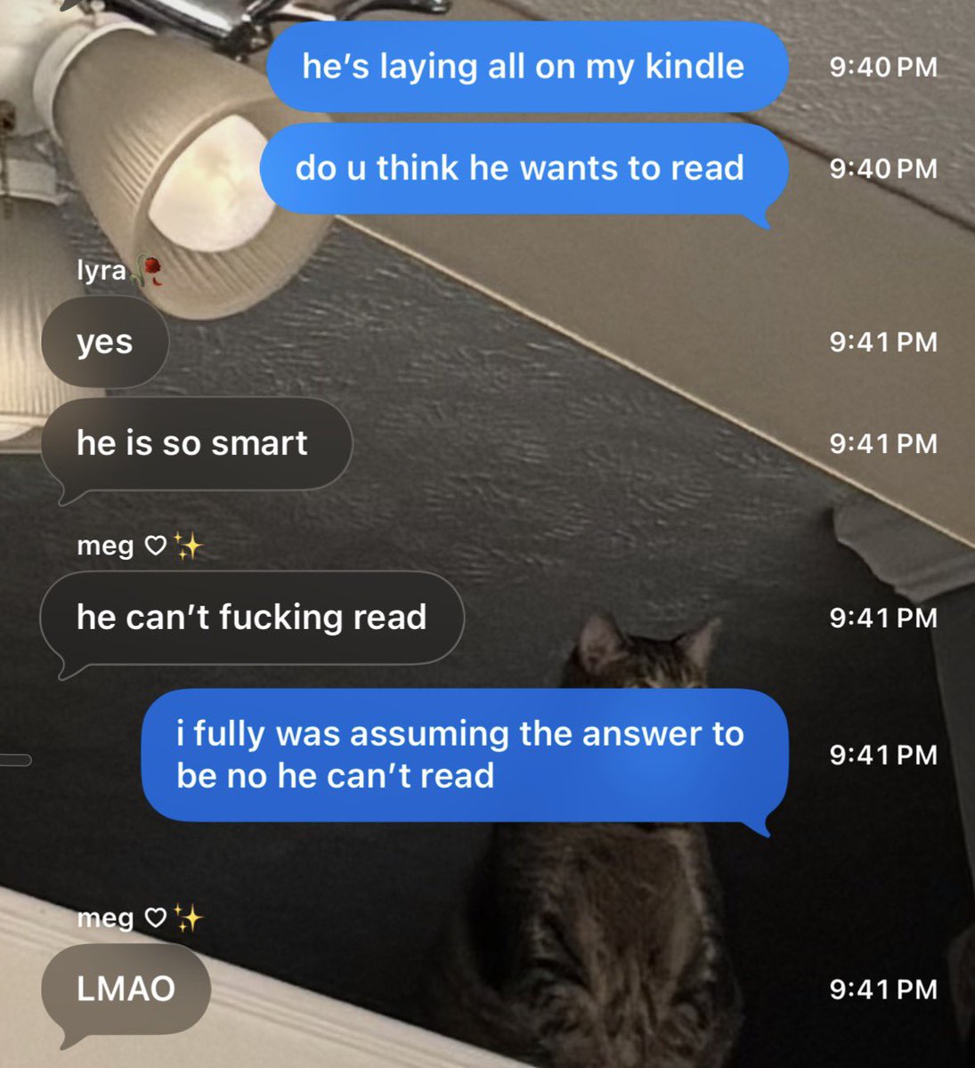 haley🦇🍓 tweet media