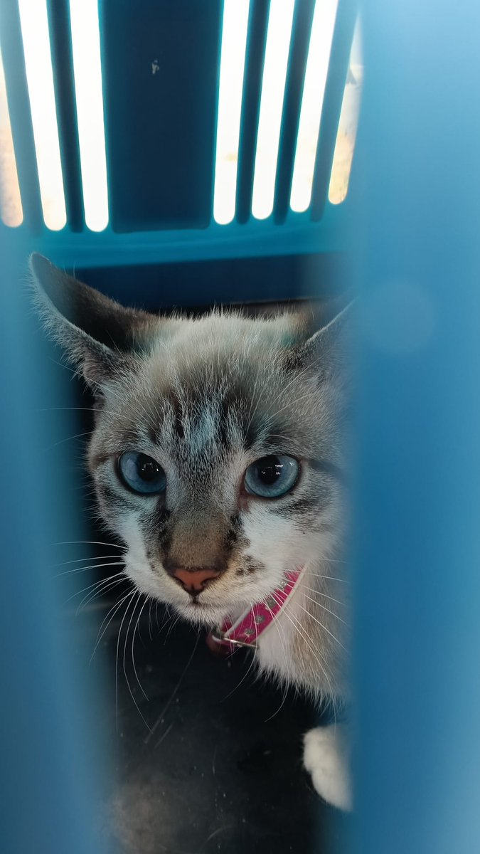 ⁹⁹⁹ tweet media