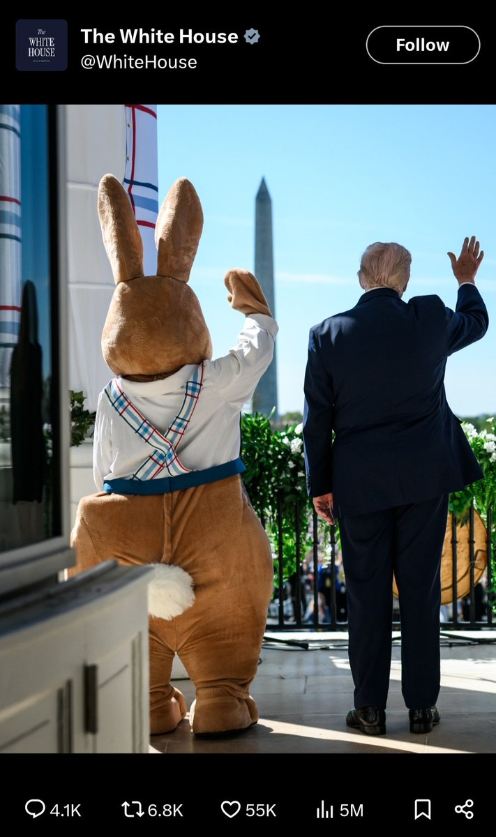 bexlago's tweet image. I have been seeing this color scheme represented in much of the messaging lately from the whitehouse et al. New flag perhaps? Just a wild guess...