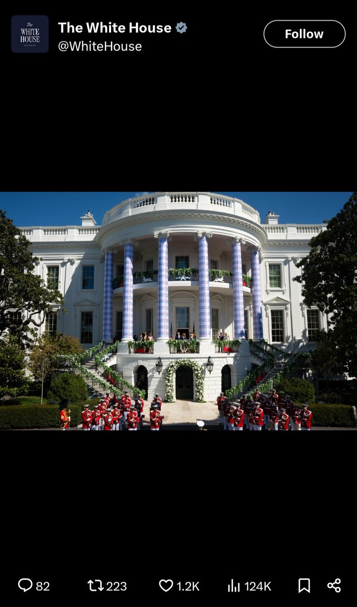 bexlago's tweet image. I have been seeing this color scheme represented in much of the messaging lately from the whitehouse et al. New flag perhaps? Just a wild guess...