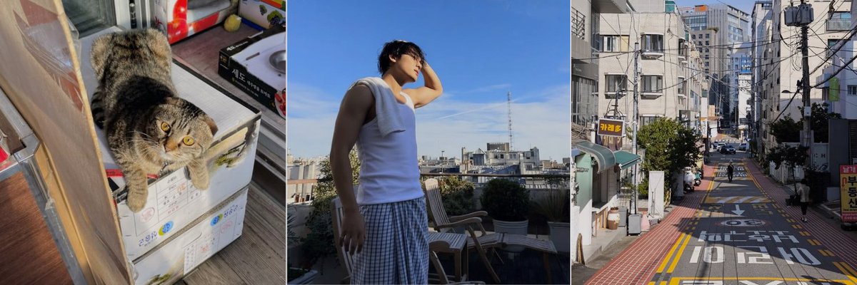 𝕹𝖆𝖙𝖊⁠｡ tweet media