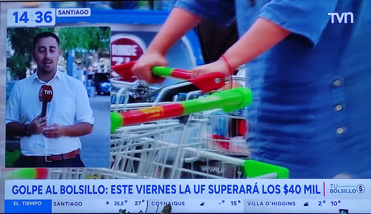 Botticelli tweet media