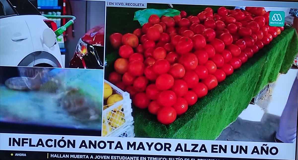 Botticelli tweet media