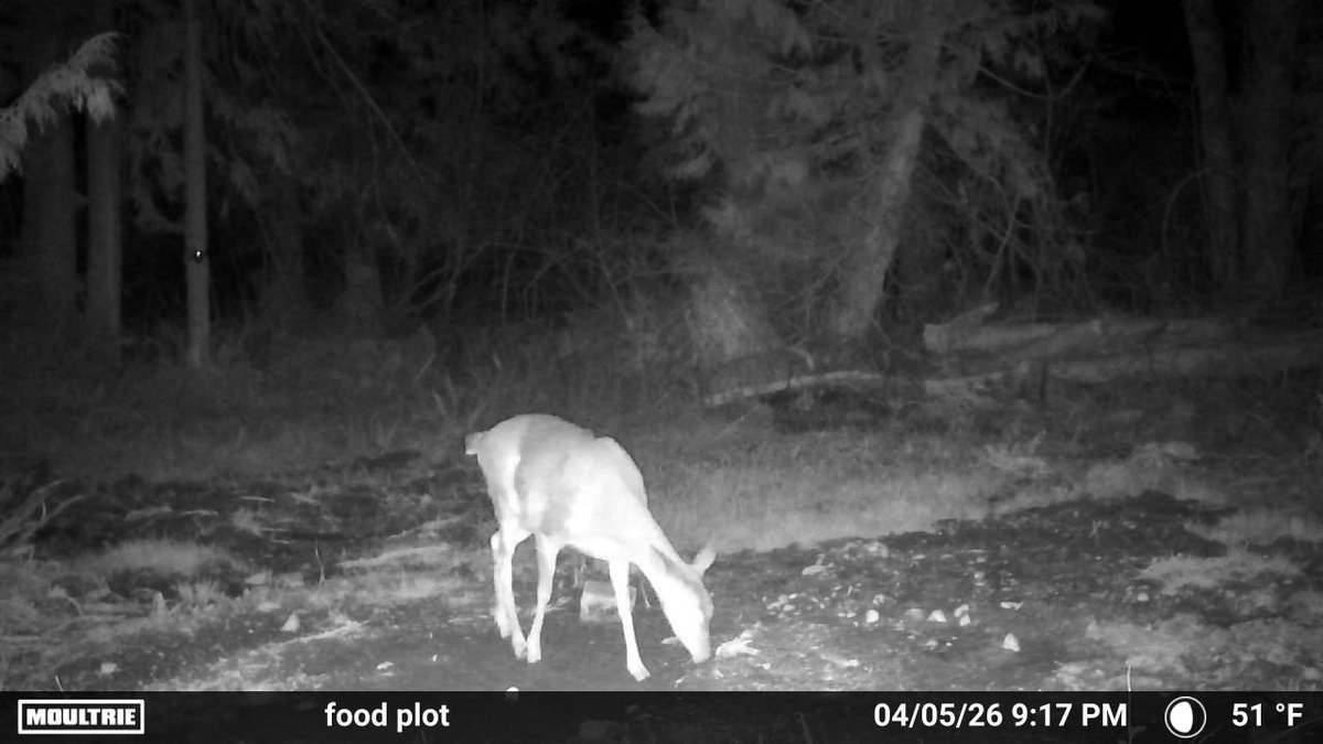 lighteninghead123 (@lighteninghead2) on Twitter photo 