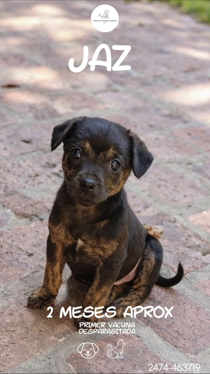 la duquesa ⭐️⭐️⭐️ tweet media