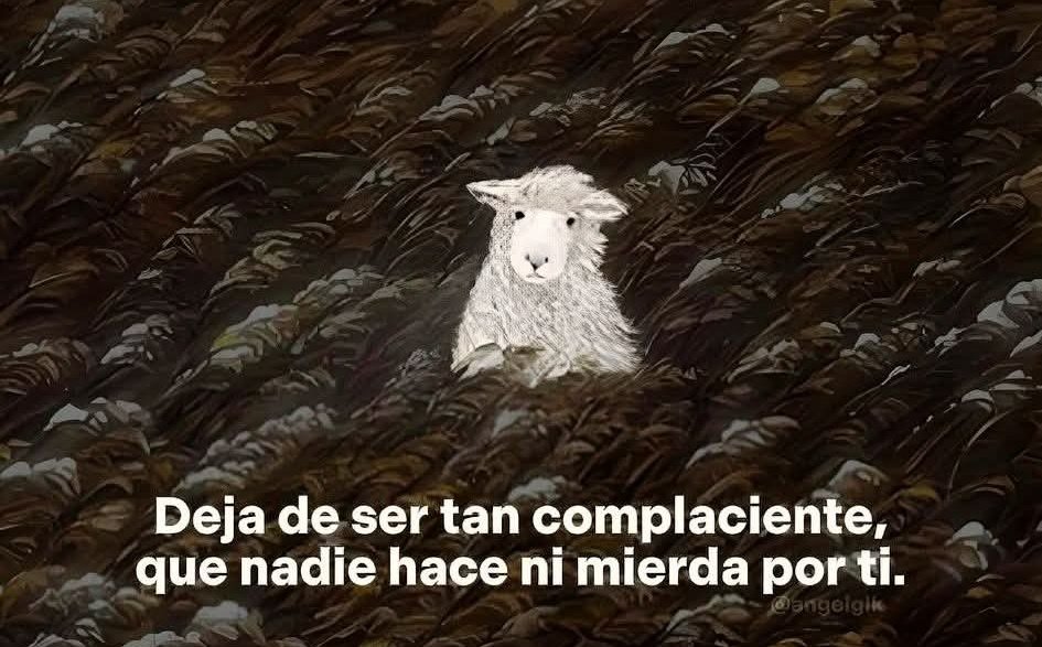 Cap Briagowsky tweet media