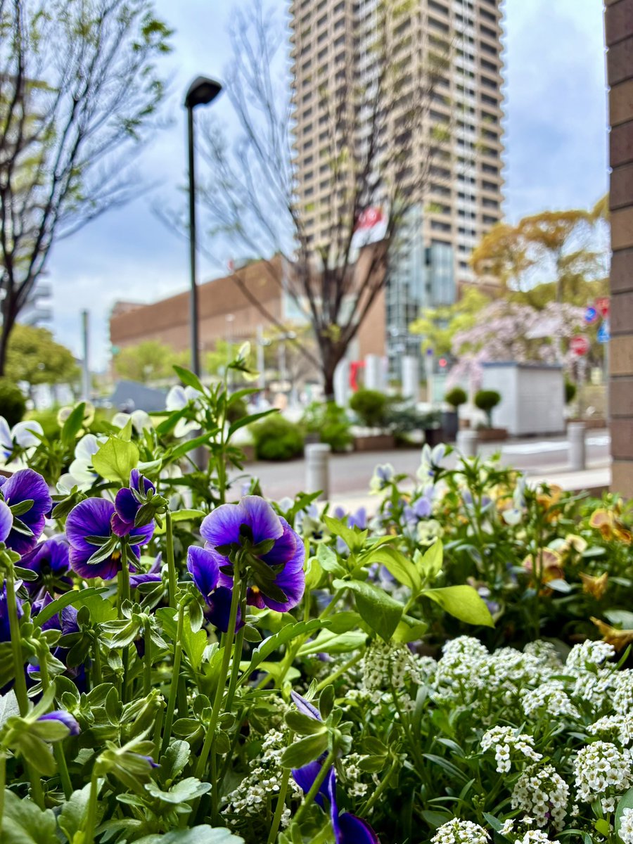 indian restarunt Nazial tweet media