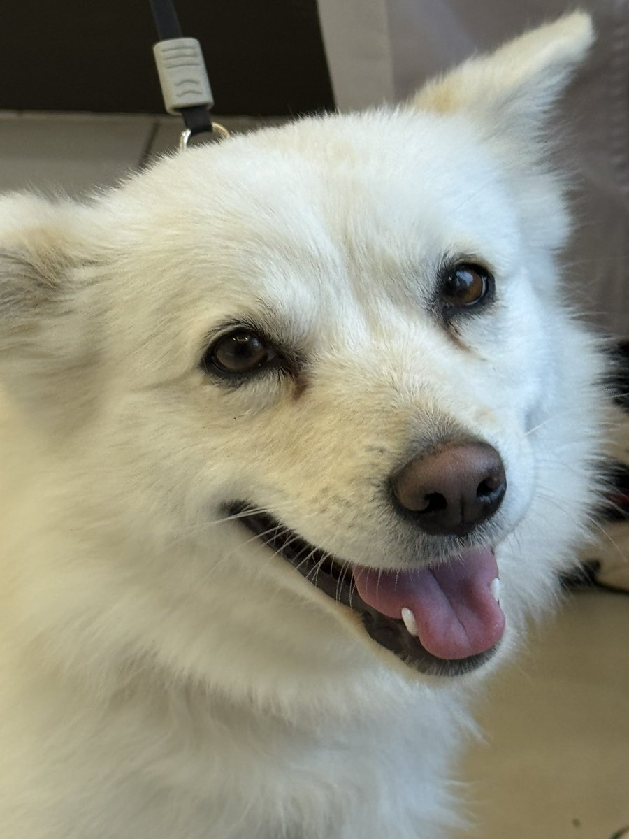 Galno 갈노🛰️ tweet media