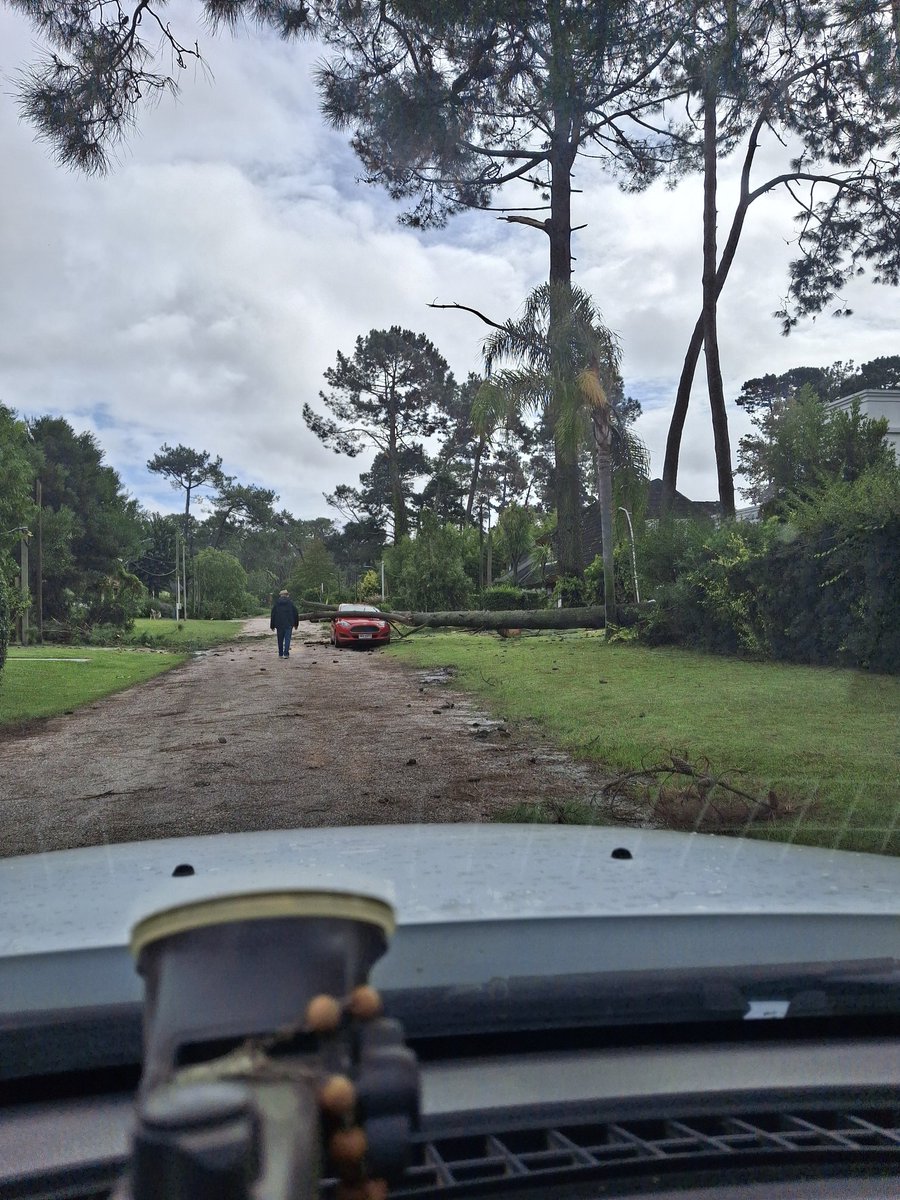 Ignacio Russi tweet media