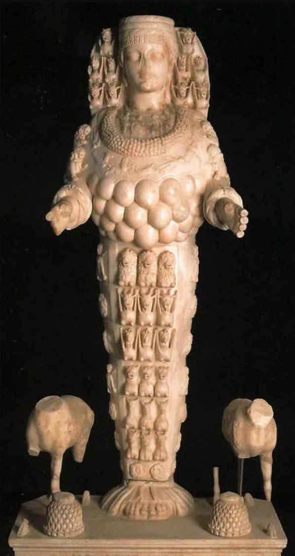 Melissa Redpill - Freedom Force tweet media