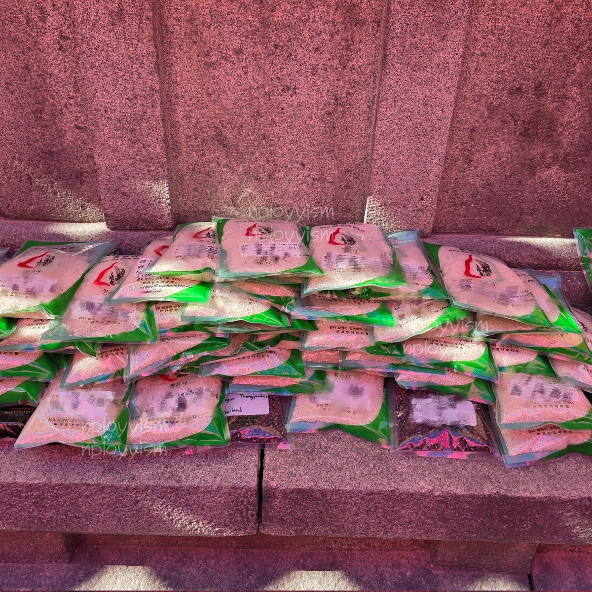 ₊ '플러❤️🌸|⁴² ˚ ⊹♡ tweet media