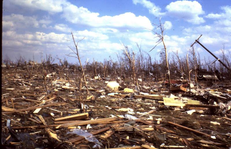 Sekai Chandra tweet media