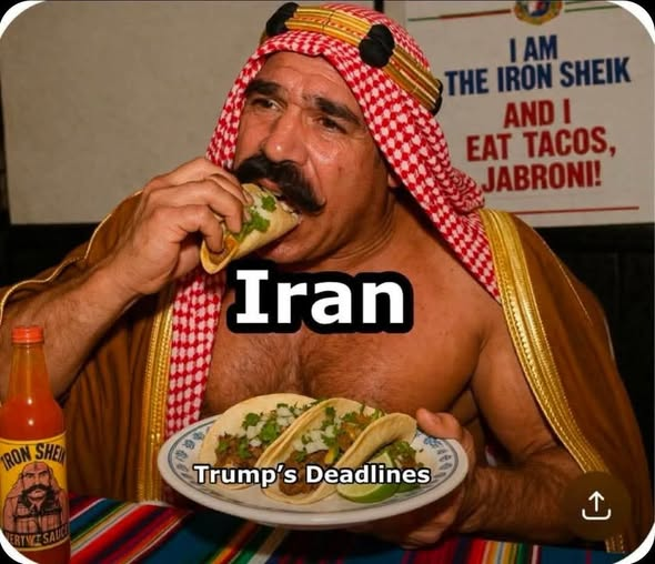 Azgal43026529's tweet image. #TacoTrump