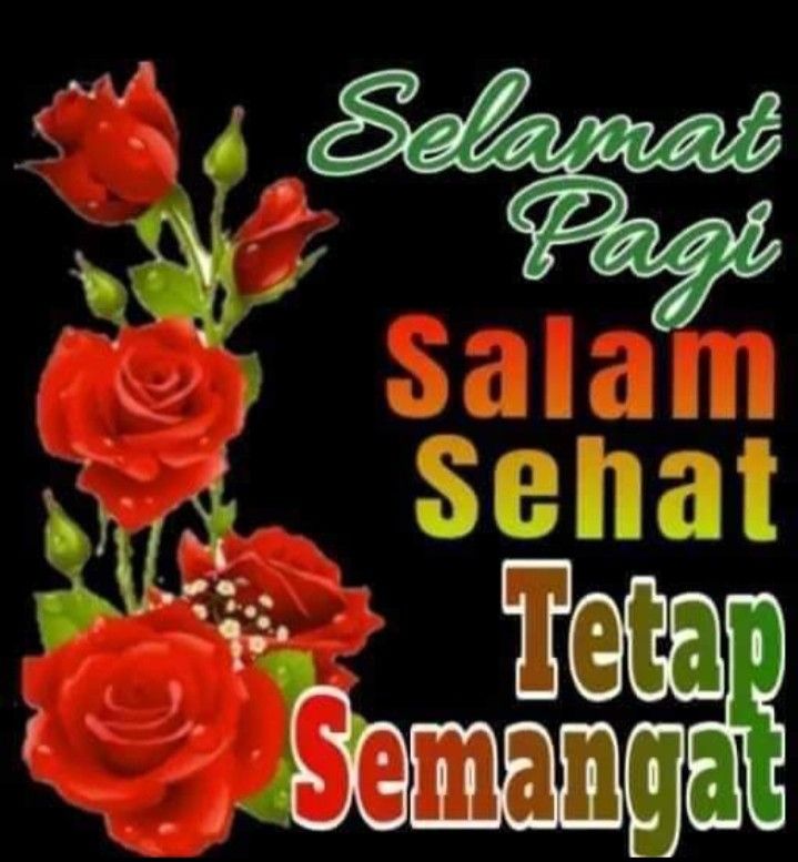 elπn²⁷🧝 tweet media