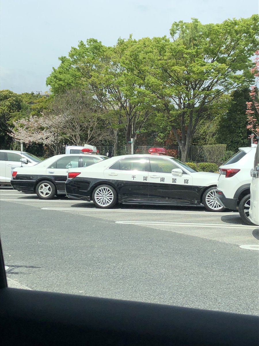 ShadowRescue119 tweet media