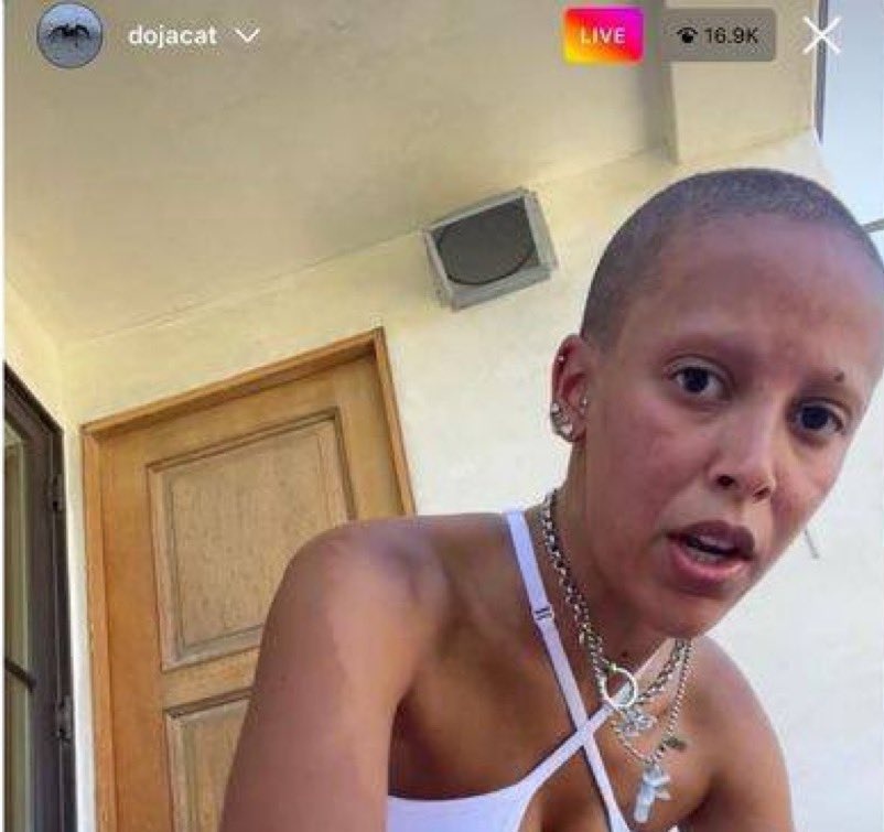 O Chacal tweet media