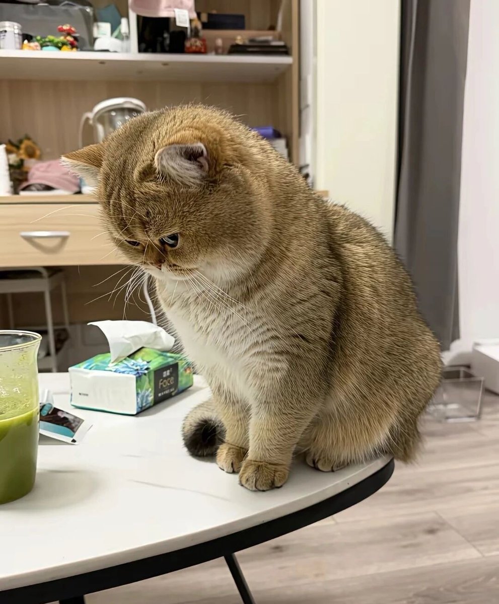 Mei Beile媚贝勒 （互fo％） tweet media