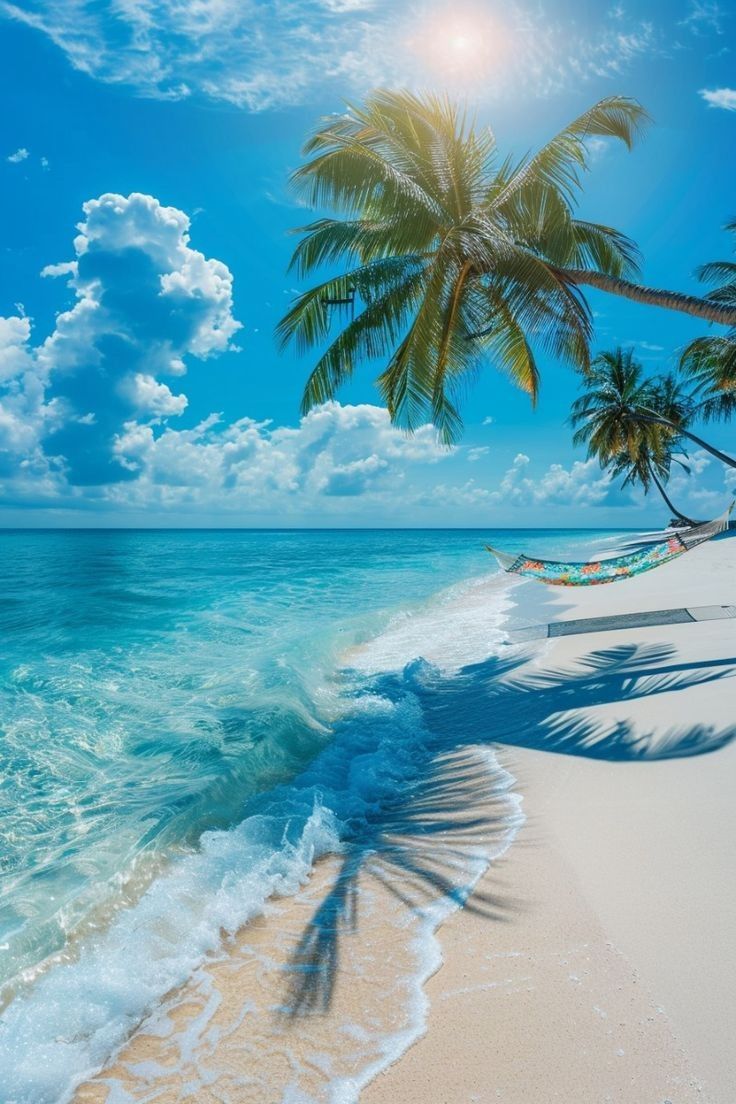 Aqua Vibes tweet media