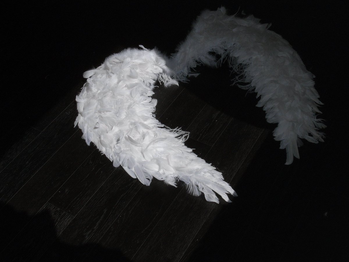 さき♡🎐 tweet media