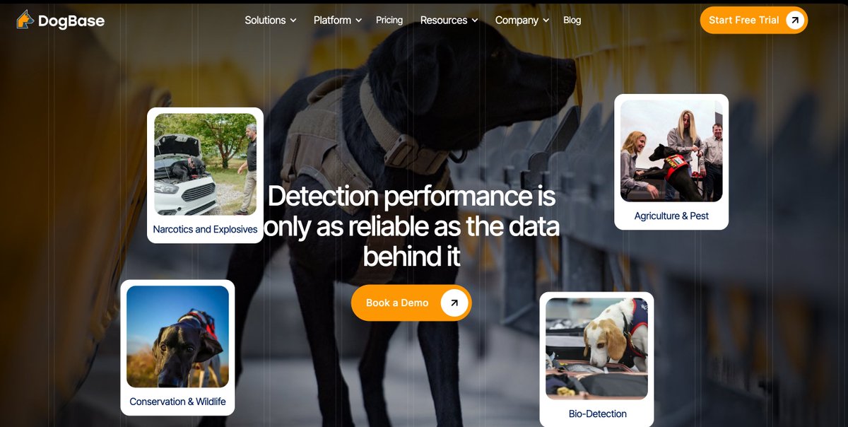 MyDogBase's tweet photo. We’re building a new DogBase website—here’s a quick sneak peek. What do you think? https://t.co/gBkmUQaqWh