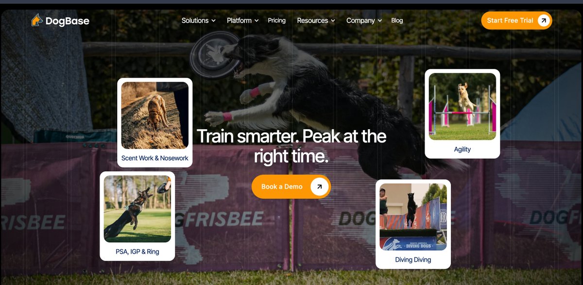 MyDogBase's tweet photo. We’re building a new DogBase website—here’s a quick sneak peek. What do you think? https://t.co/gBkmUQaqWh