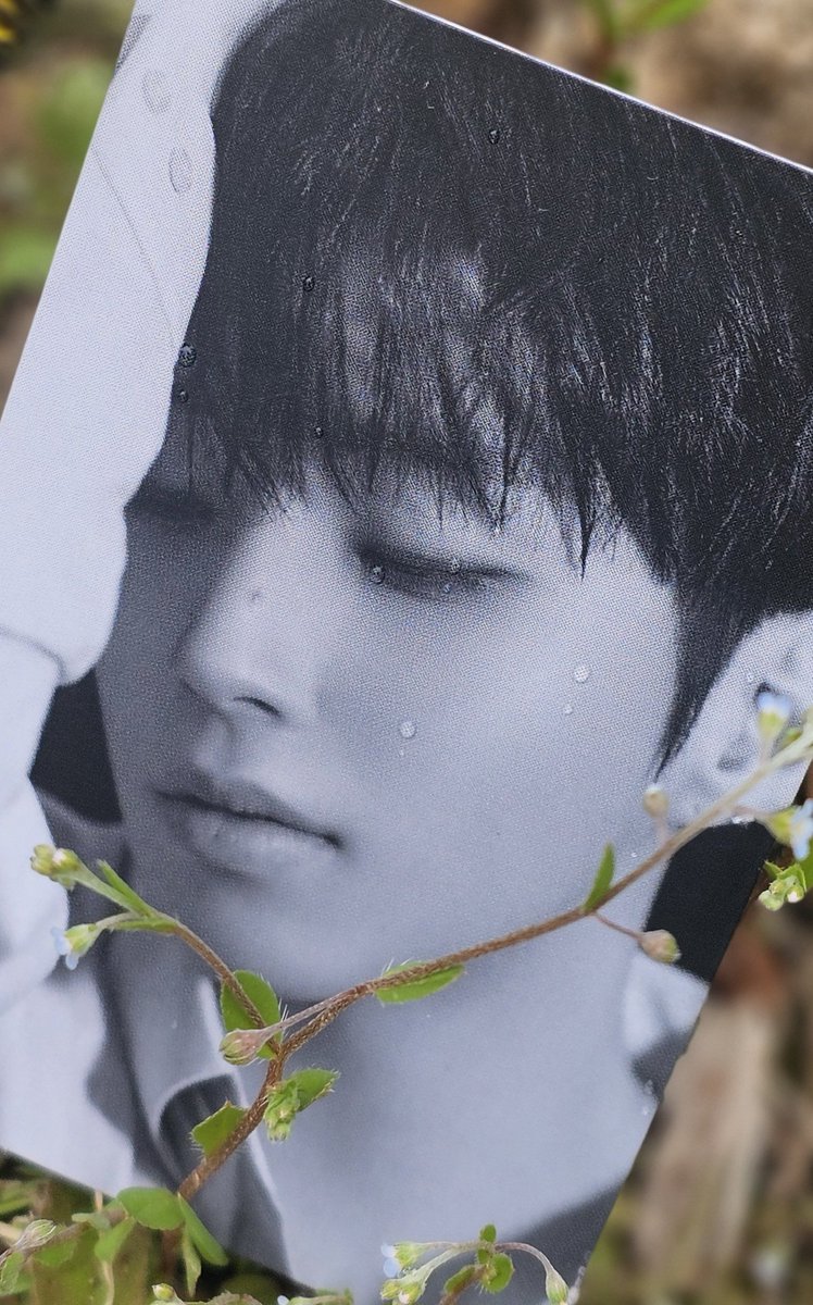 여니누나♡ tweet media