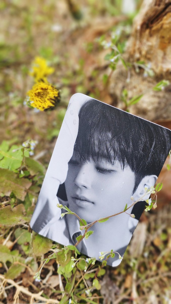 여니누나♡ tweet media