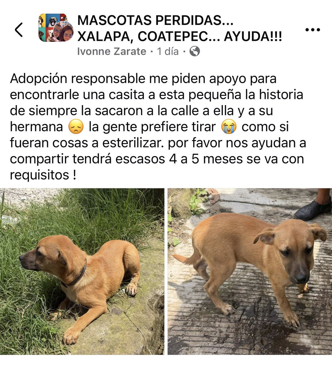 ANGIE COLUNGA tweet media