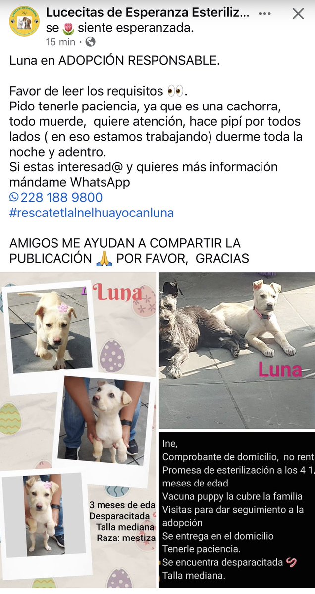 ANGIE COLUNGA tweet media