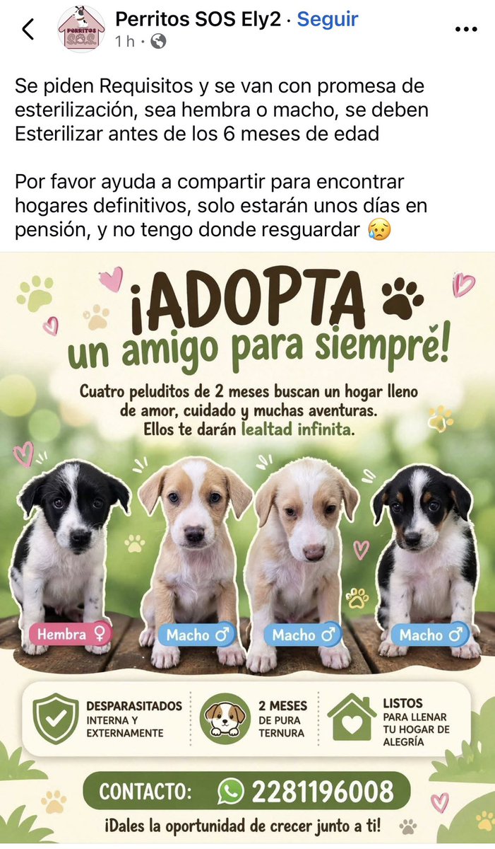 ANGIE COLUNGA tweet media