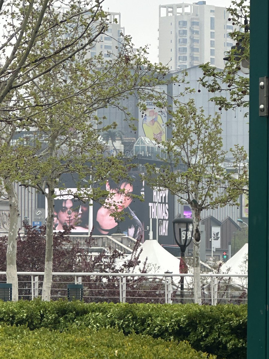 pnd◝✩⡱ tweet media