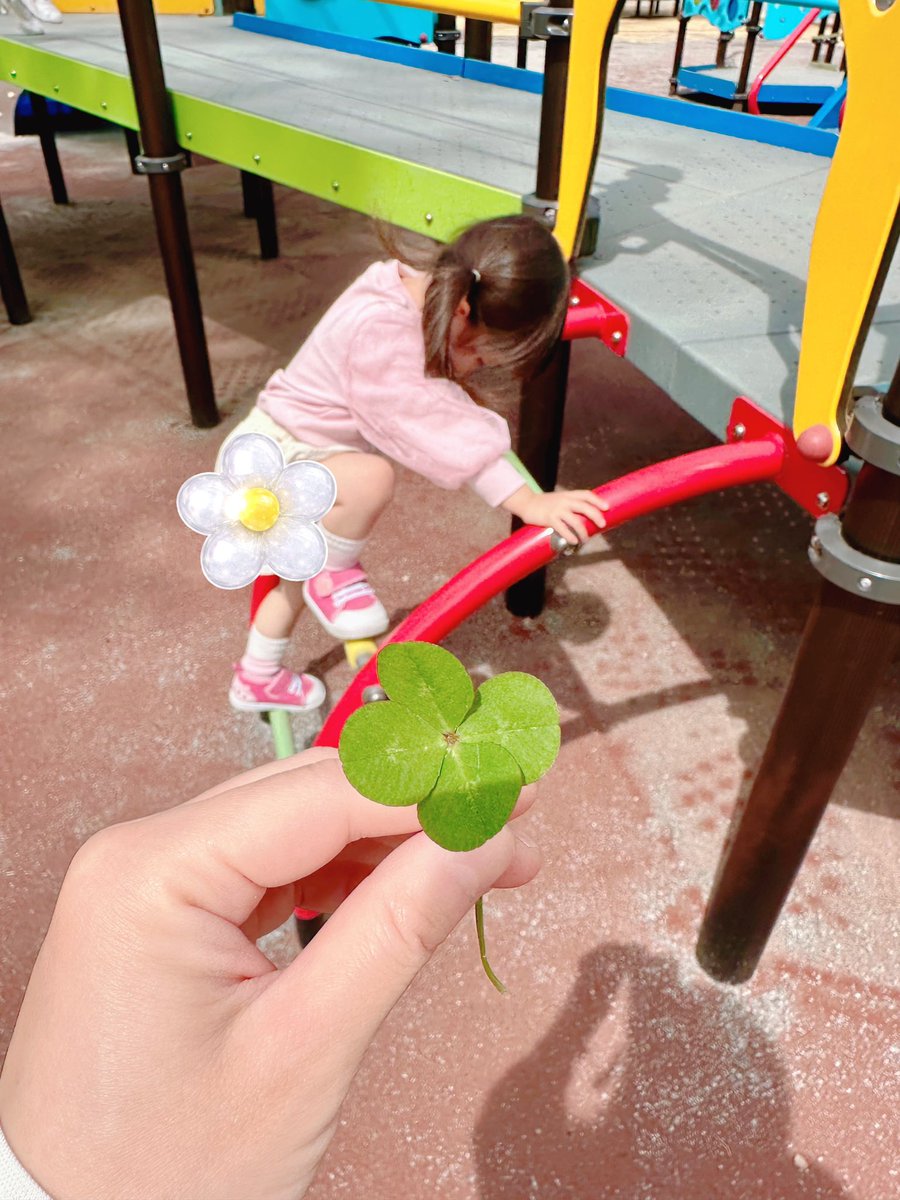 公園で四つ葉のクローバー見つけたよ🍀✨💕