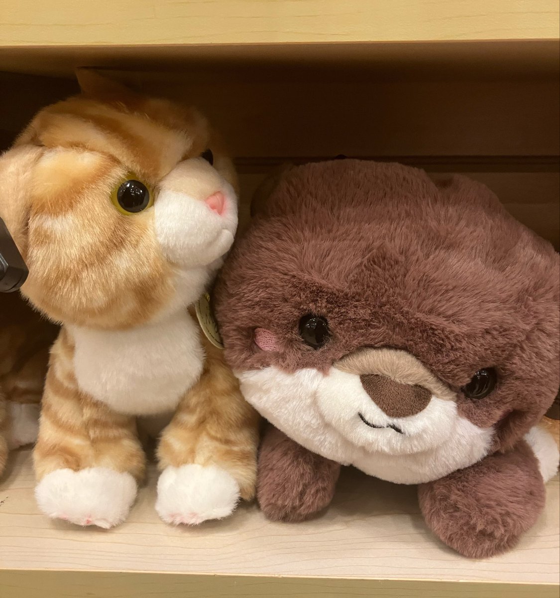 Laini (#1 the owl house fan) tweet media