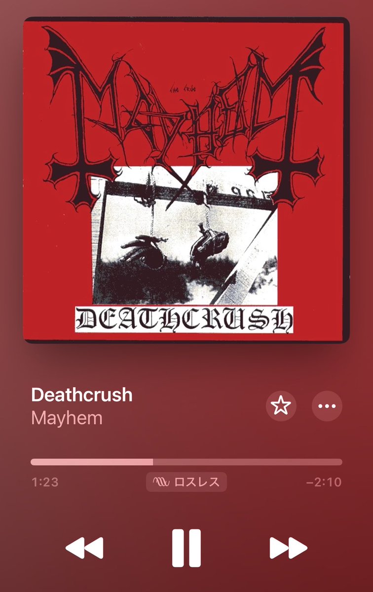 メタラー大学生 tweet media