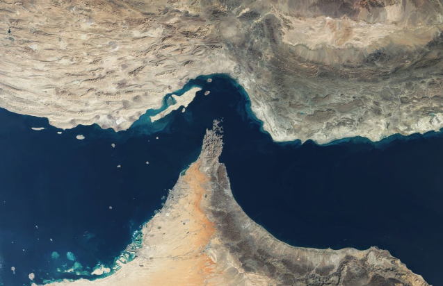 株式市場の不死鳥 tweet media