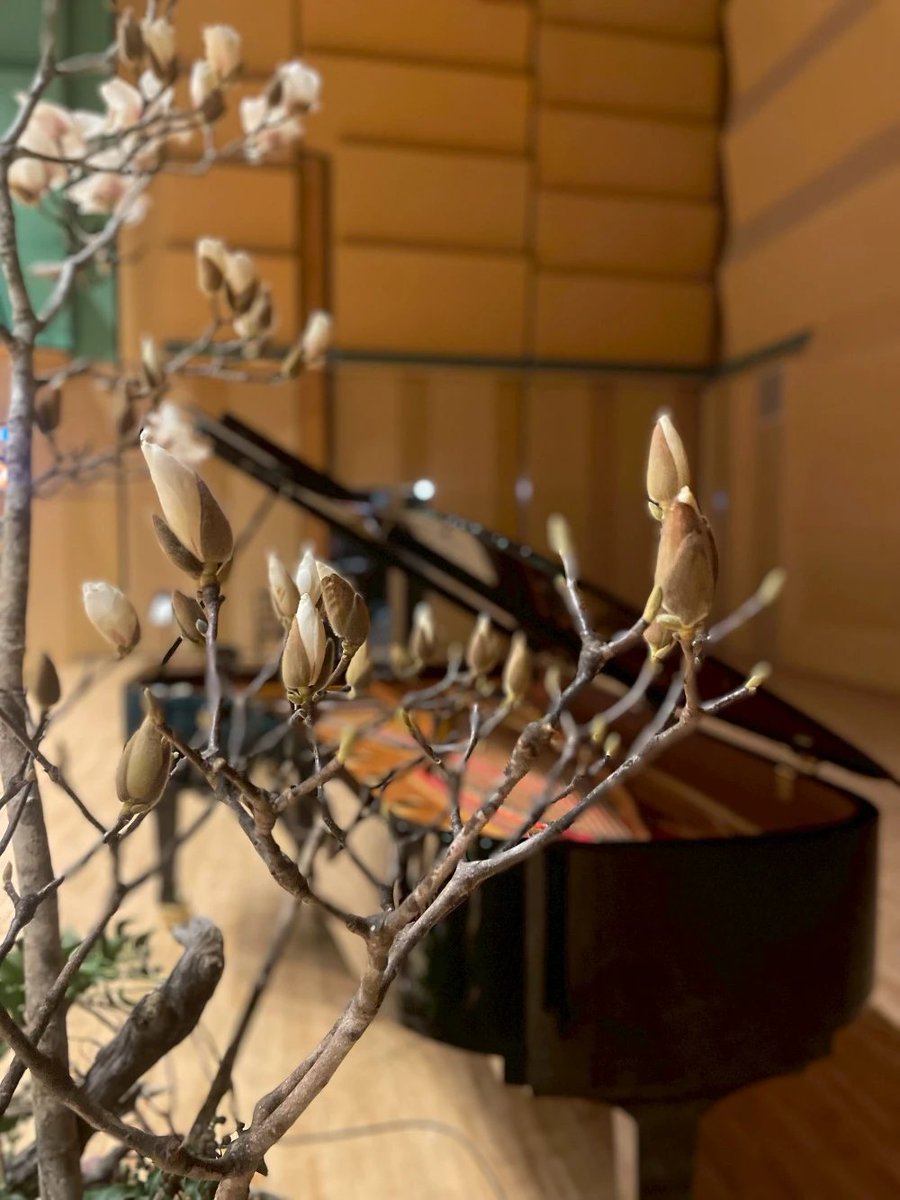 ピティナ【公式】 tweet media