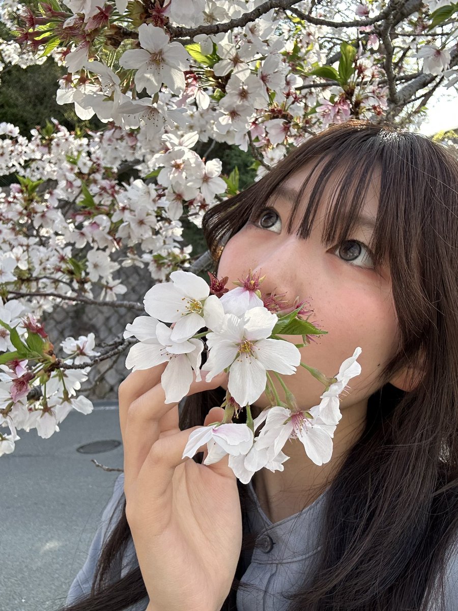 あかりん🩷🩶#和装天下 tweet media
