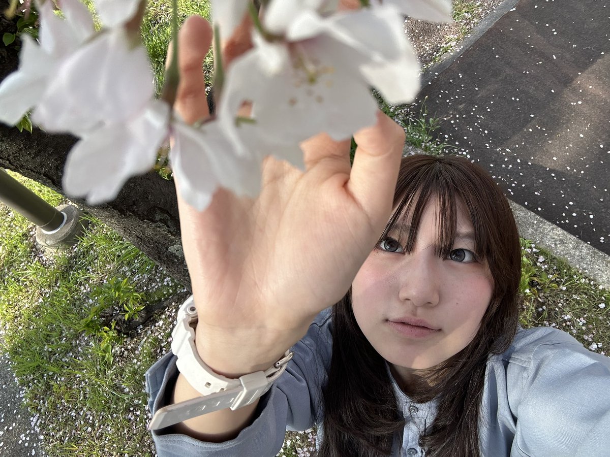 あかりん🩷🩶#和装天下 tweet media
