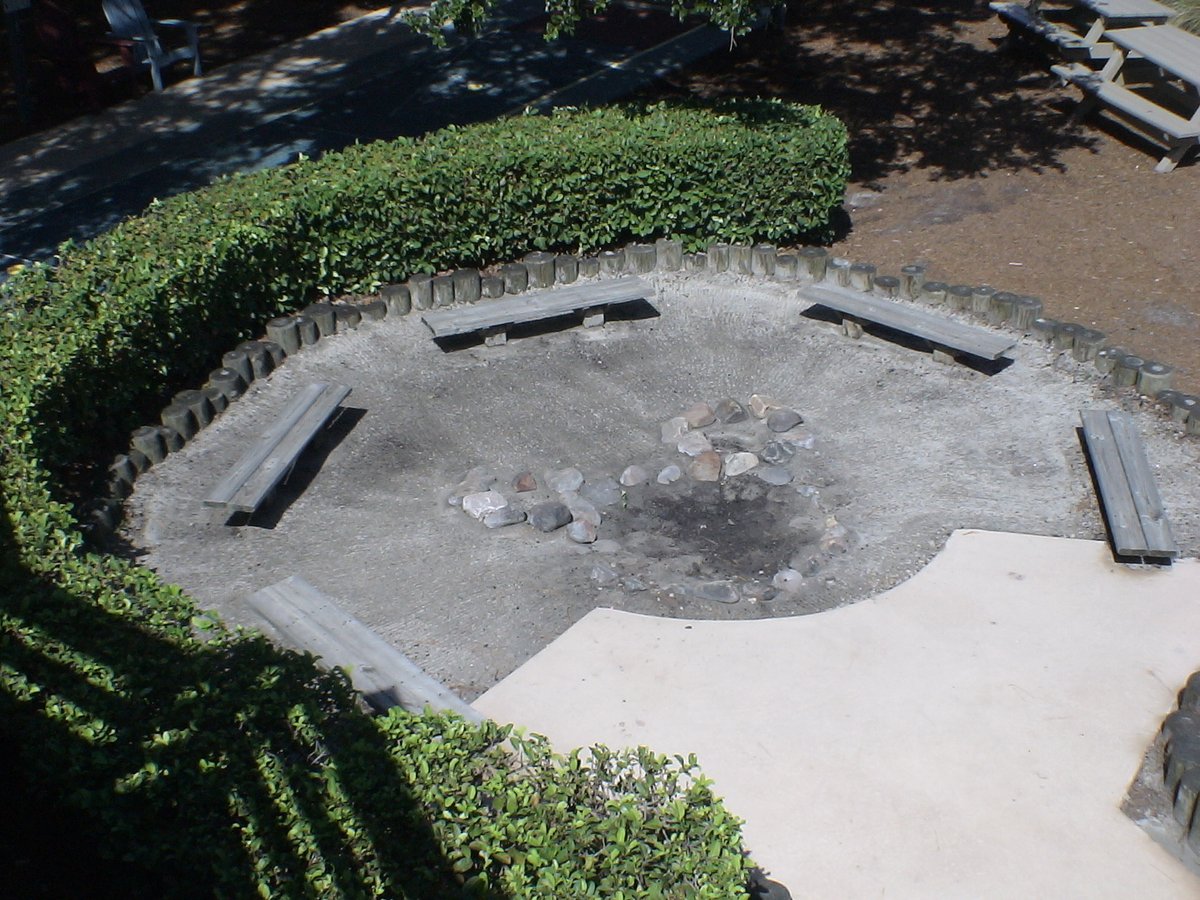 Walter Clayton tweet media