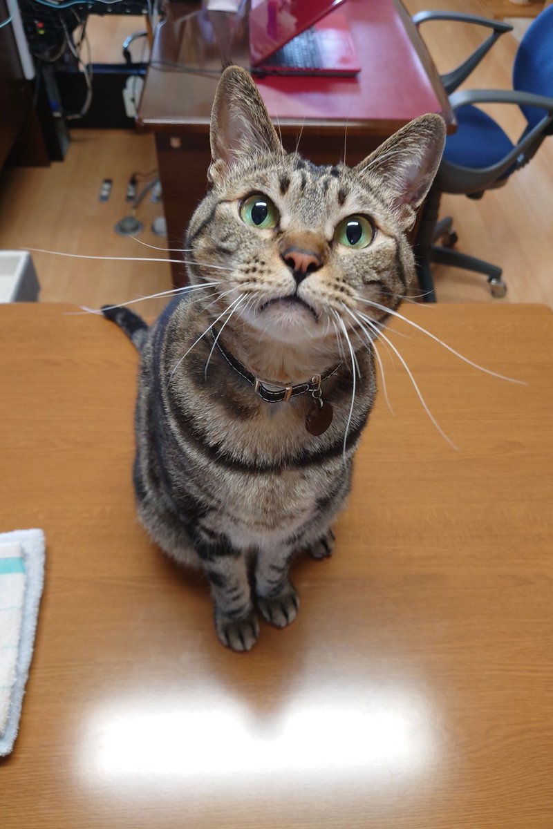 やまぴー tweet media